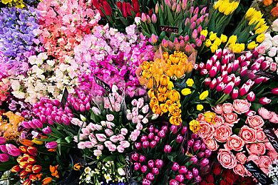 《出租车生活：城市驾驶模拟器》预售现已开启